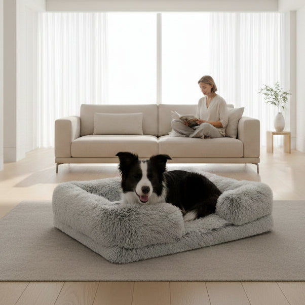 Border Collie lying on a fluffy gray pet bed in a cozy living room