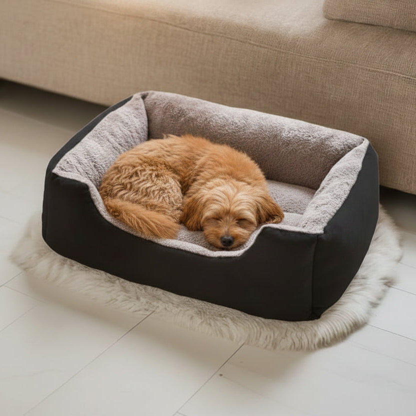 Sleeping maltese in a black dog bed with plush interior and black exterior on a light wooden floor.