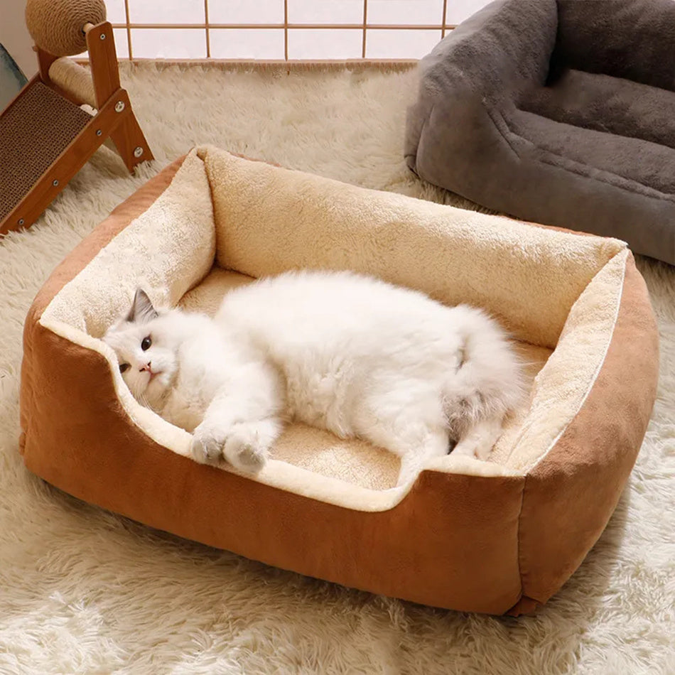 AbbyPaw Orthopedic Dog Bed